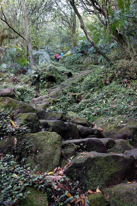 Hong Kong - Japan - Taiwan - March 2014 - Most of the climb is steps like this. Very steep, quite slippery. I have shorts and a t-shirt. Lots of locals were quite concerned for me, but I estim