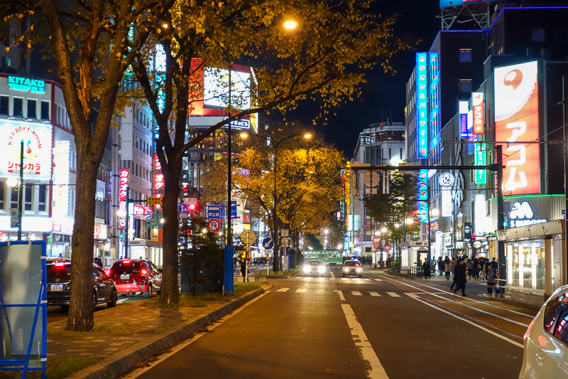 Visiting 9 cities in Japan - Oct and Nov 2016 - More neon, the trees look nice, daylight will reveal if I need to pass out from amazing color shock.