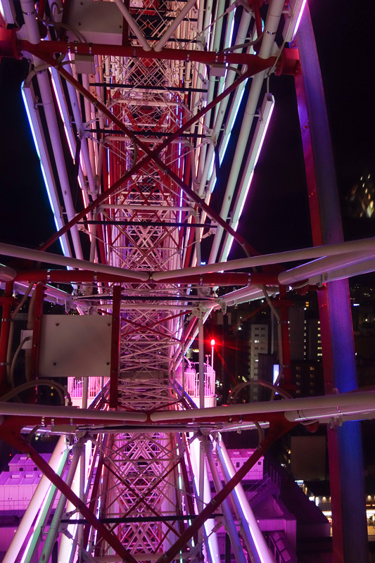 Japan-Sapporo-Food-Ferris Wheel - Proof I rode the ferris wheel on my own.