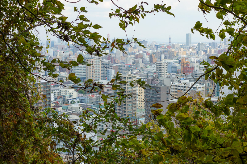 Visiting 9 cities in Japan - Oct and Nov 2016 - It may have been the wrong path but it does have a good view.
