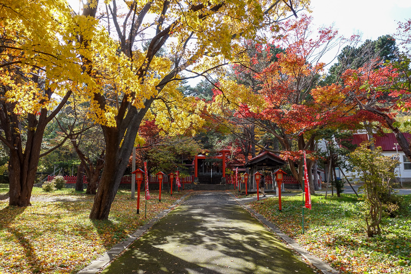 Visiting 9 cities in Japan - Oct and Nov 2016 - The torii gates actually take you to here, but like I said, dont keep trying to go up and around it, theres no way!