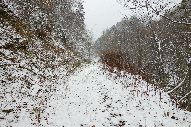 Japan-Sapporo-Hiking-Snow-Mount Soranuma - Now I thought this must surely be the right path?