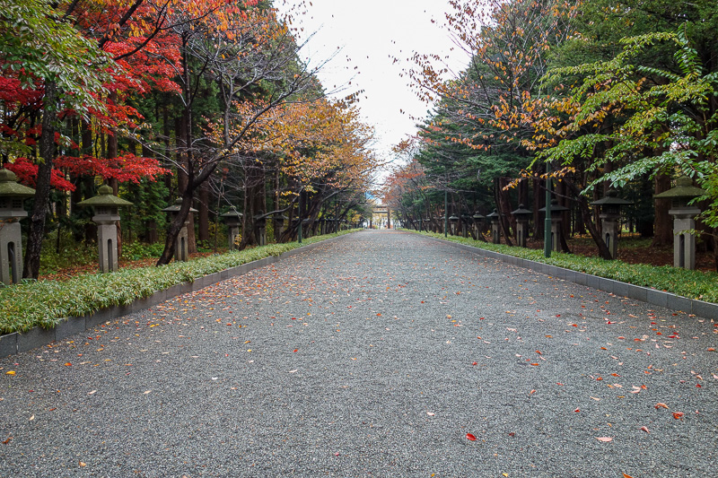 Japan-Sapporo-Zoo-Autumn Colors-Rain - The path to the main shrine is past peak leafery.