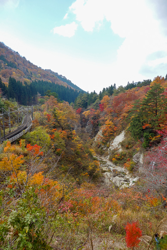 Japan-Sendai-Hiking-Omoshiroyama-Autumn Colors - And now here I am, back where I was yesterday, back where I did views and ravines and mountain failure, today would be mountain success.