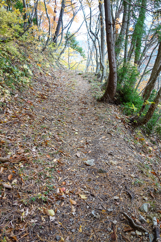 Visiting 9 cities in Japan - Oct and Nov 2016 - A path, a path! Note that it looks like a path, and it is, so pathy in its pathness. Not like an ice cliff face at all.