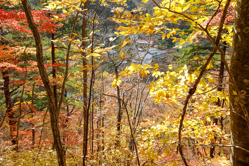 Japan-Sendai-Hiking-Omoshiroyama-Autumn Colors - Good colors. The station area below, similar photo later.