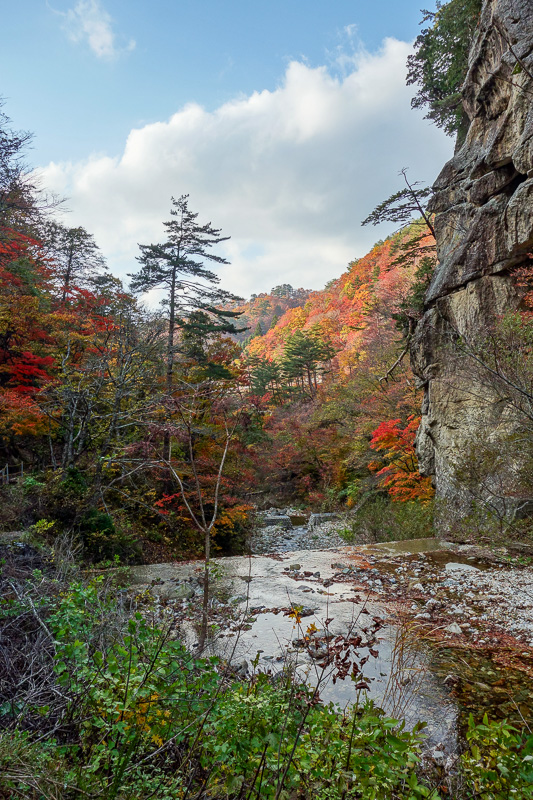 Japan-Sendai-Hiking-Omoshiroyama-Autumn Colors - Feel the serenity.