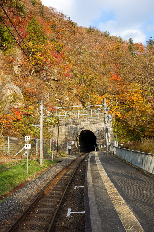 Japan-Sendai-Hiking-Omoshiroyama-Autumn Colors - Last photo from here, the tunnel! You cant walk down it, I went to find out of course.