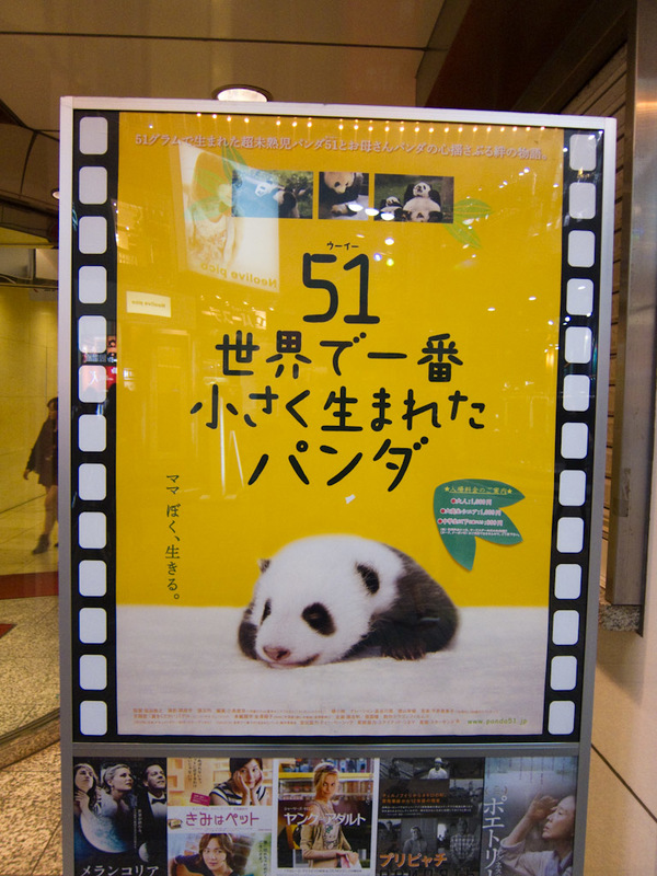 Japan and Taiwan March 2012 - This is a movie poster, there appears to be a movie coming starring baby pandas. Perhaps 51 of them. I couldnt find details on imdb.