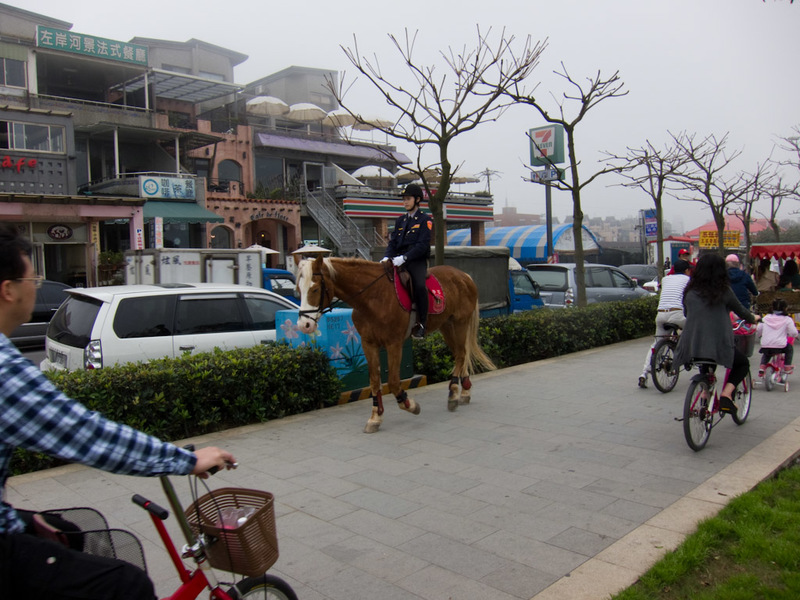 Japan and Taiwan March 2012 - Wait, theres also horses.