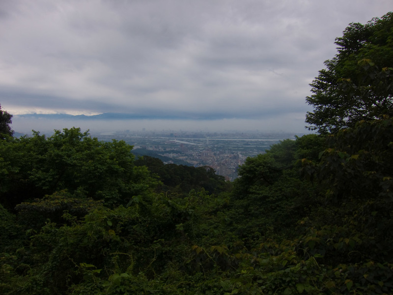 Taiwan-Taipei-Hiking-Yangmingshan - I guess I am about half way up. The forest was very thick and there werent many spots where you could see to take a photo. Which was a bit concerning 