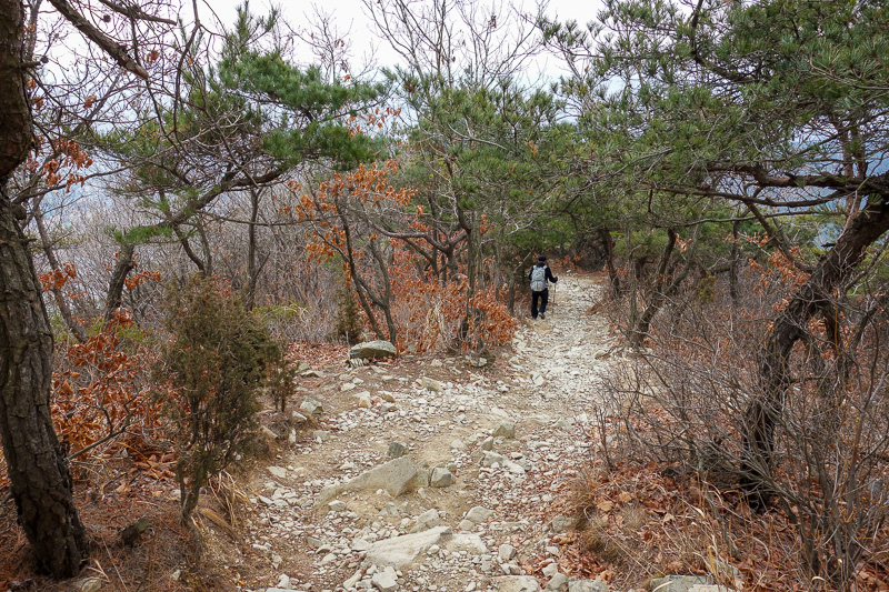 Korea again - Incheon - Daegu - Busan - Gwangju - Seoul - 2015 - The path down. Actually one of the nicer sections. After this it was a real scramble and I needed both hands, so had to put my camera away. I only sli
