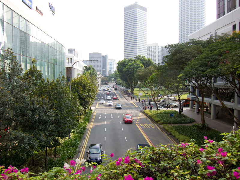 Taiwan / Hong Kong / Singapore - March/April 2011 - The view near my hotel, very wide clean streets with flowers everywhere.