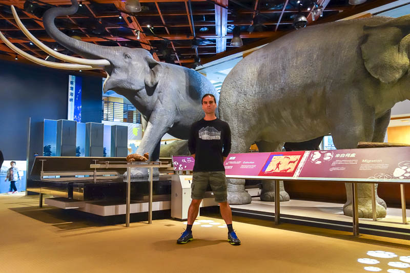 A full lap of Taiwan in March 2017 - I decided to hang out with the rare, Taiwanese giant elephant. Presumably they were delicious, because they became extinct really fast.