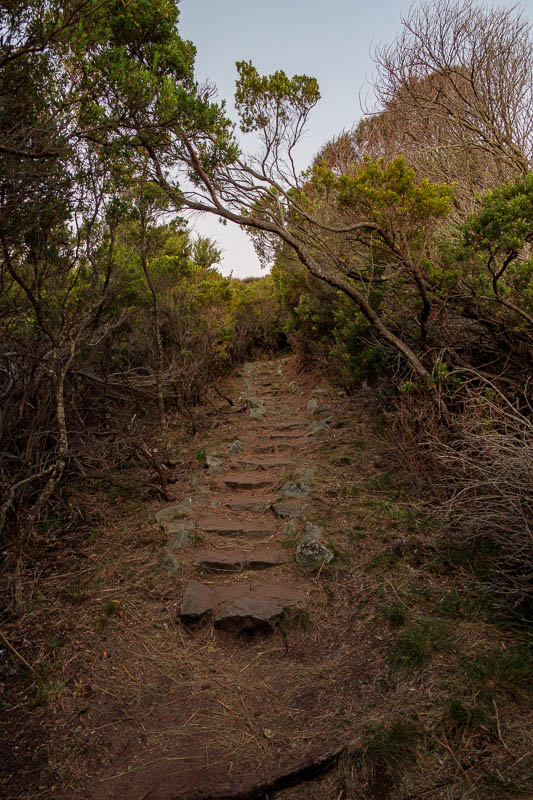 Australia-Cape Otway-Great Ocean Walk - The path is very well maintained. There are professional walking tour companies taking people along here every day. Day being the important word in th