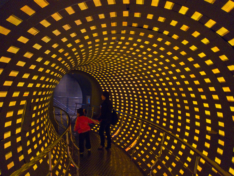 China-Shanghai-Science-Museum - This was amazingly cool, the lights in this spin in a clockwise rotation, I had to close my eyes periodically to stop myself from feeling sick. I saw 