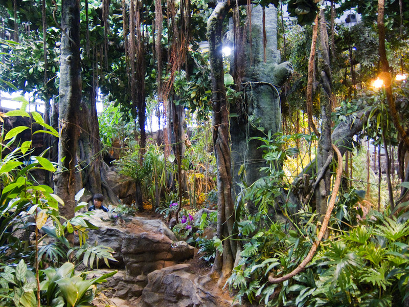 China-Shanghai-Science-Museum - The indoor rainforest was pretty impressive, its a mix of fake trees and real plants.