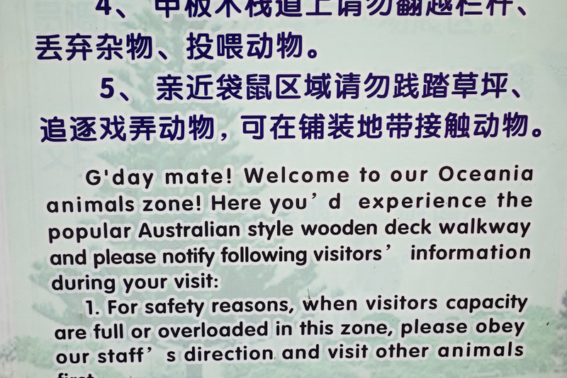 China-Nanjing-Zoo-Amusement Park - As an Australian, I am ashamed to admit I do not have a popular Australian style wooden walkway. G'day!