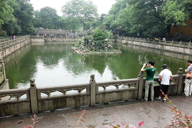 China-Hangzhou-West Lake-Fog - 2/3 of the global goldfish population amassed in one pond.