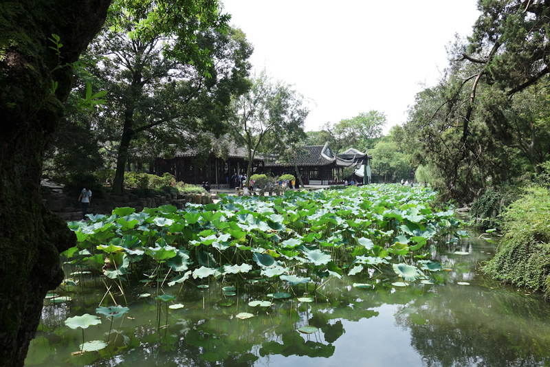 China-Suzhou-Garden-Architecture - The garden is very popular with the tour groups. I have done my best to avoid them and take photos where the view isnt obscured by flags, fat people w