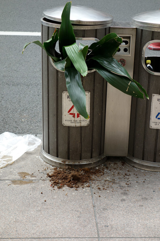 Back to China - Shanghai - Nanjing - Hangzhou - 2012 - This plant is apparently recycling. Another waste management photo!