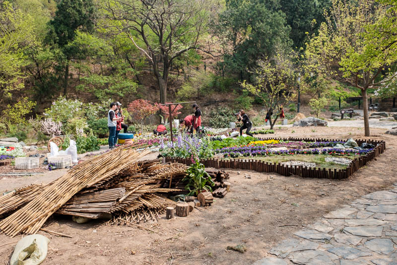 China-Beijing-Fragrant Hills-Hiking - Here are some local thugs forced to do community service gardening.