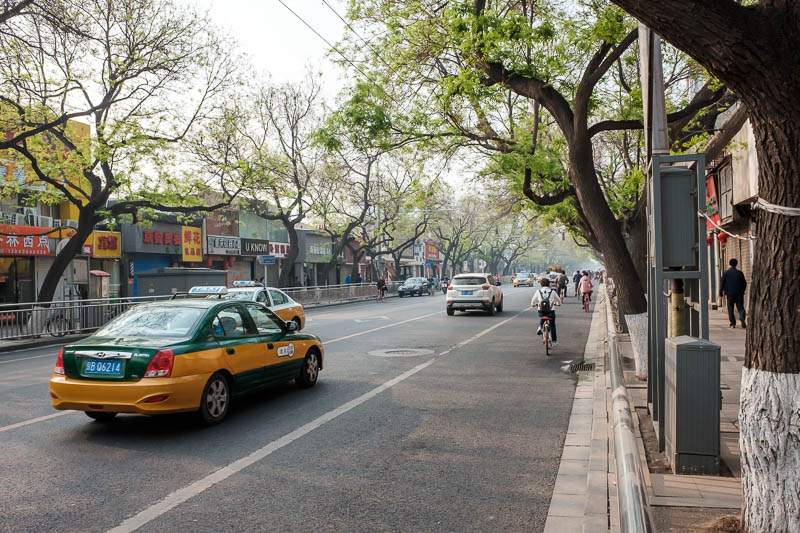 China-Beijing-Zhengzhou-Bullet Train - Here is the street scene outside of Cafe Bene. The trees here will form a complete canopy over the street soon, lots of streets in Beijing are like th