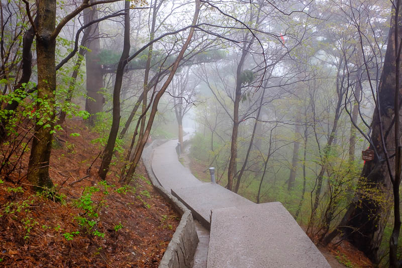 China-Hiking-Rain-Huashan-Soldiers Path - I now tried to find another way down, hunting through the fog.