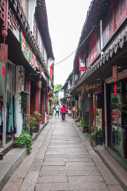 China-Shanghai-Zhujiajiao-Parrot - One last street in tourist zone.