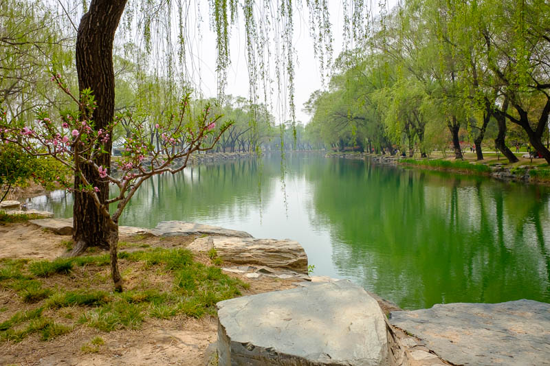 China-Beijing-Summer Palace - A bit more of the green lake.