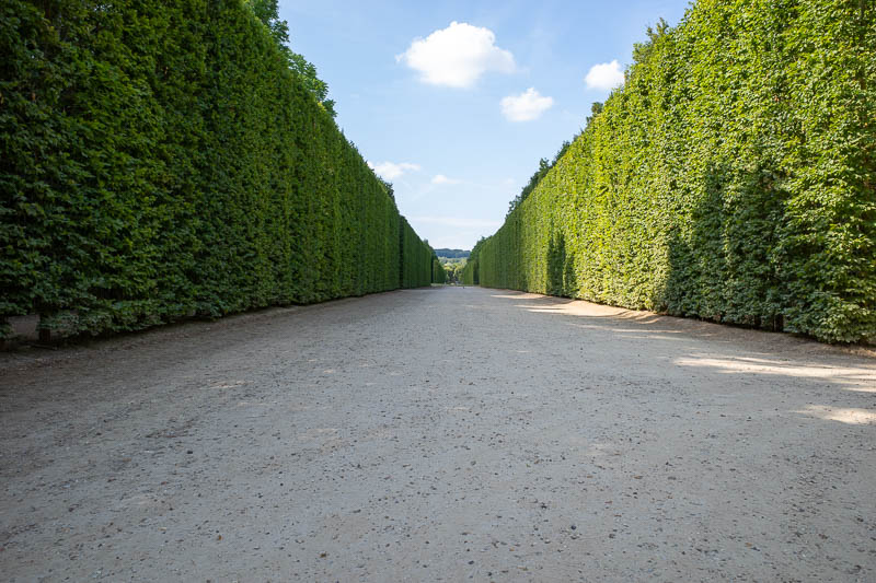 France-Versailles-Palace-Garden - The hedges are actually trees. There are wooden lattice walls embedded in them painted green to make hedging them more efficient.