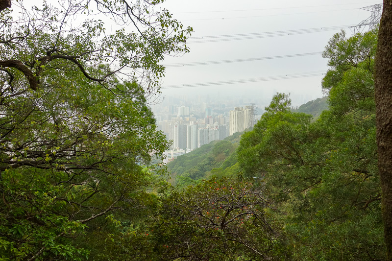 Hong Kong-Hiking-Lion Rock-Fog - I took this photo because I was worried as I got higher I would have no view at all as there would be fog.