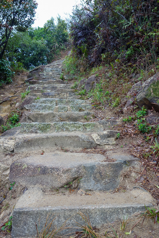 Hong Kong-Hiking-Lion Rock-Fog - The path was well built with steps, but poorly signposted. I thought I was heading in the right general direction but theres other paths going off all