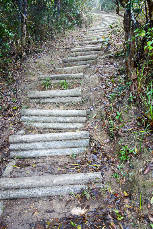 Hong Kong - Japan - Taiwan - March 2014 - Eventually I found the very steep track to the rock formation summit. These are some of the steepest stairs ever, it really was like climbing a ladder