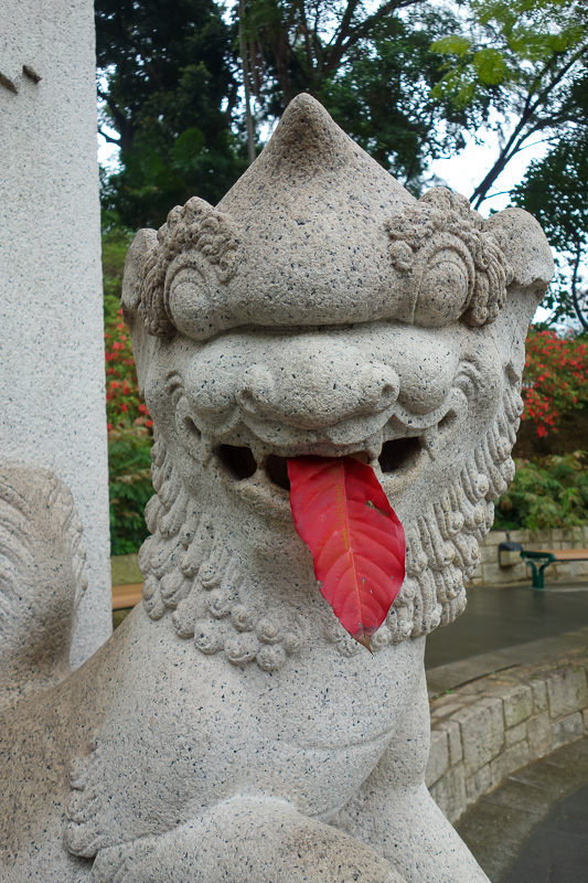 Hong Kong-The Peak-Fog - Dragon tongue.