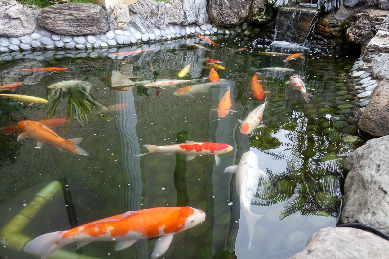 Taiwan-Taichung-Garden-Beef - A new one for me, the footpath has been replaced with a goldfish pond.