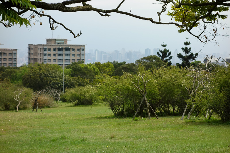 Taiwan-Taichung-Garden-Beef - The view of the city in the distance.
