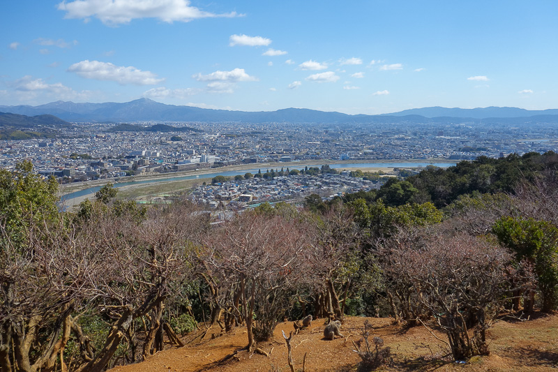 Japan-Kyoto-Arashiyama-Hiking-Bamboo-Monkeys - The view from where the monkeys are fed is great, of all Kyoto. Everyone else cleared off so I had the place to myself.