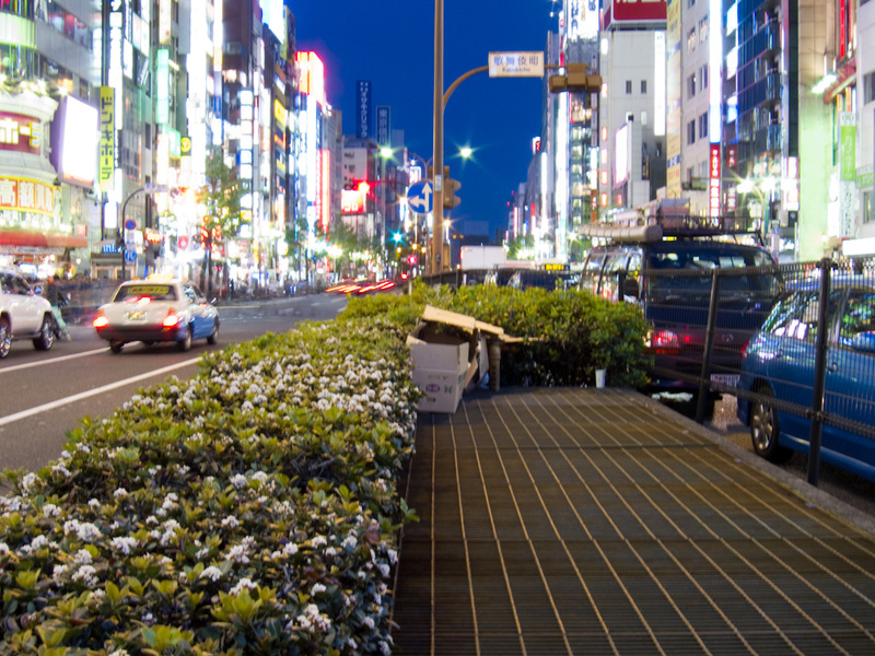 Japan-Tokyo-Shinjuku-Neon - Afternoon and Evening