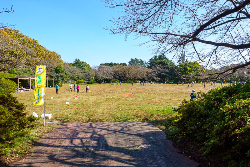Japan-Tokyo-Garden - And as per today's title, here are the bird cock golf courts. A variation on croquet golf, for this version you hit a shuttlecock with a golf club int