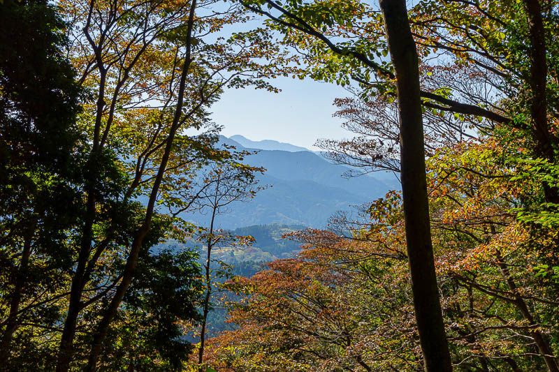 Japan-Hiking-Kanagawa-Mount Ono - Still no real coloured leaves. I think Hiroshima where I am going tomorrow is a bit cooler, so might be more colourful there already.
