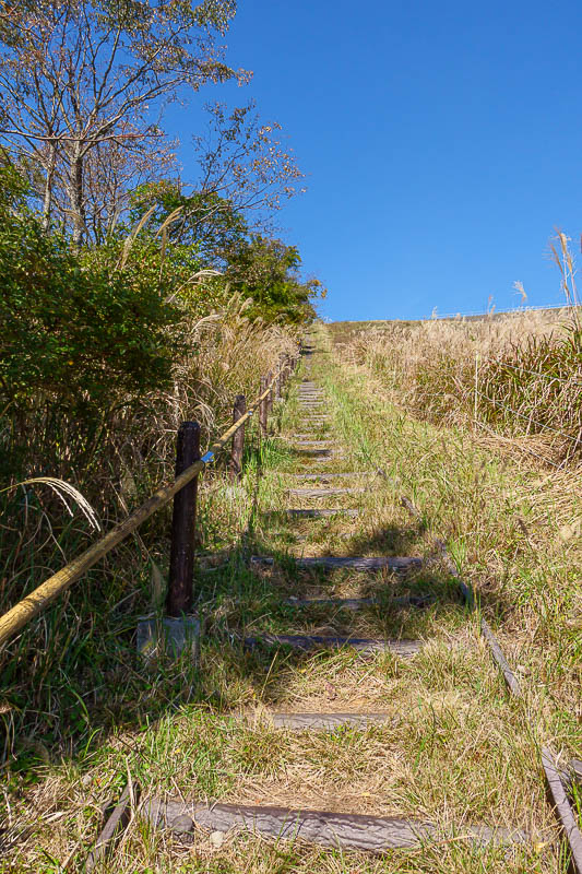 Japan-Hiking-Kanagawa-Mount Ono - And a giant staircase. I bounded up because I could hear furious mooing.