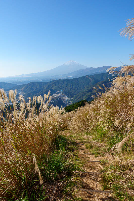 Japan-Hiking-Kanagawa-Mount Ono - And Fuji plus wheat.