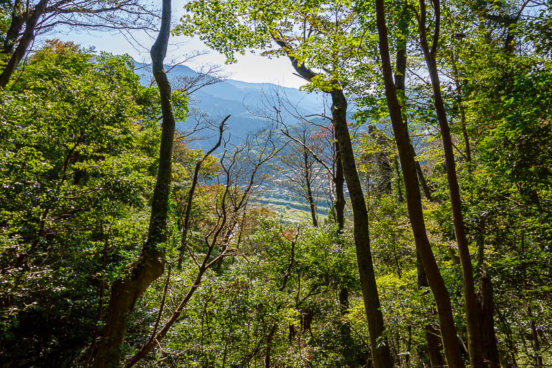 Japan-Hiking-Kanagawa-Mount Ono - Almost back.