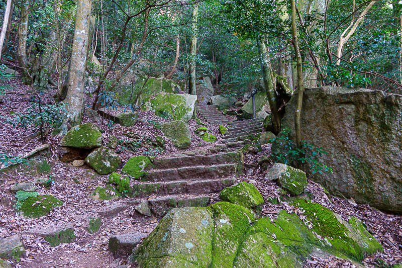Japan-Hiroshima-Hiking-Miyajima - The path was concrete steps most of the way, no cobwebs today!