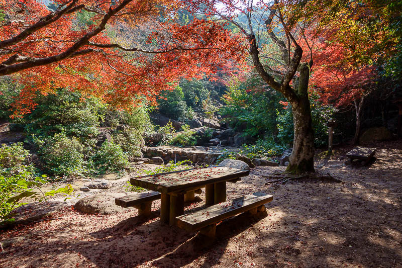 Japan-Hiroshima-Hiking-Miyajima - This is near the bottom, where I was looking for my next path back up a different peak. Colour at last.