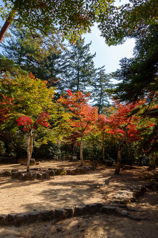 Japan-Hiroshima-Hiking-Miyajima - These were really the only coloured trees around.