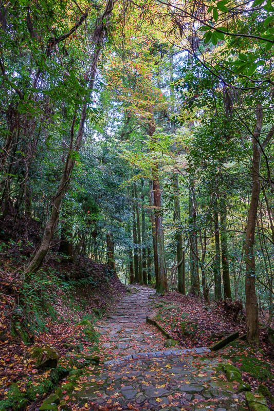 Japan-Nara-Mount Kasuga-Hiking - First a slippery path down.