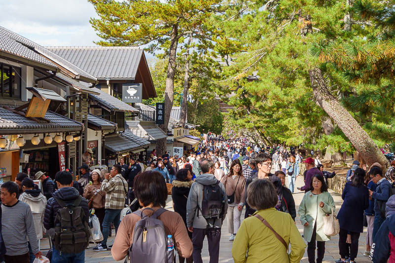 Japan-Nara-Mount Kasuga-Hiking - Lots of people at lunch time.