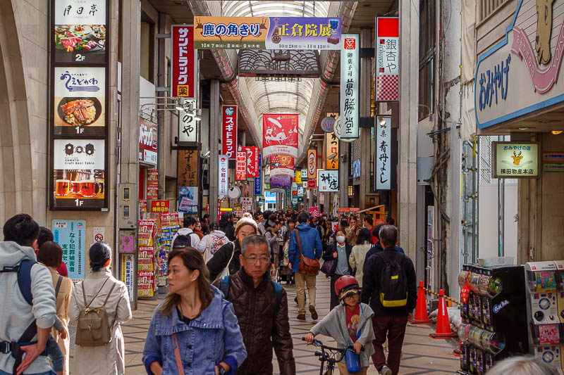 Japan-Nara-Mount Kasuga-Hiking - If it does start raining, Nara has you covered, with a covered shopping street.